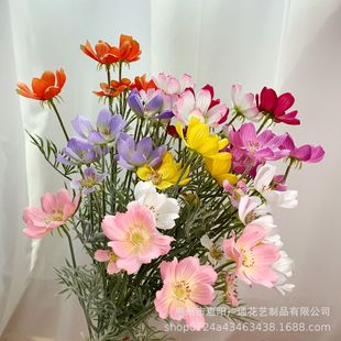 ��֧6�^��˹�շ��滨 ֲ�q���滨��ɣ����c�����bҾӿ͏d�[��