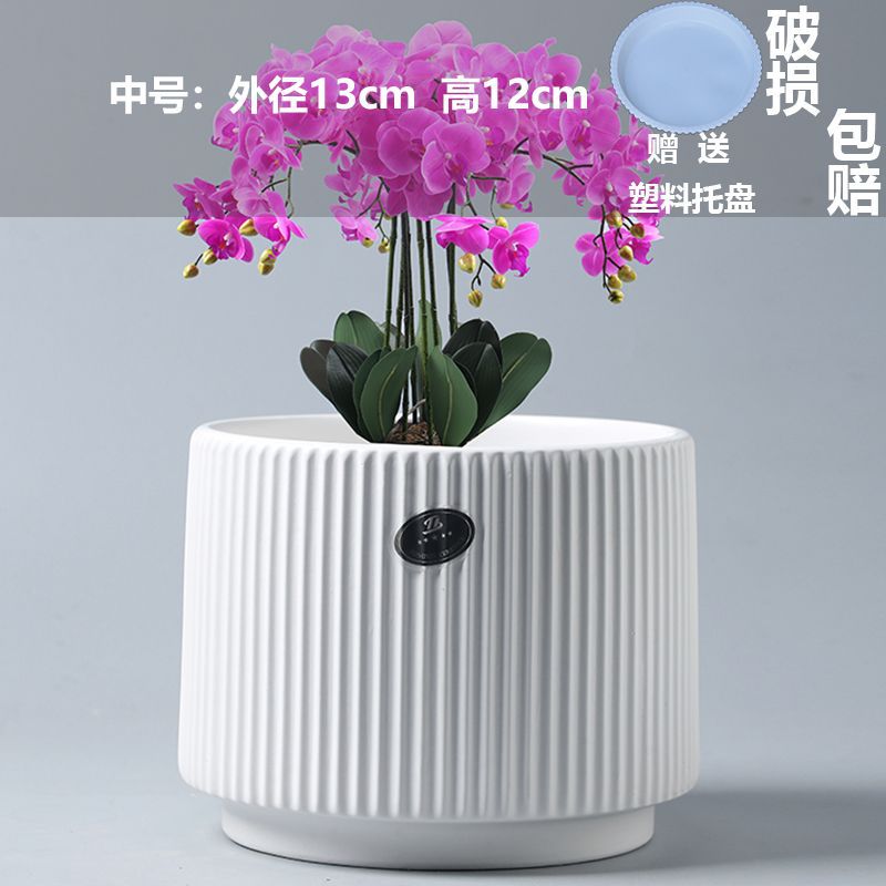 Medium athens ancient porcelain white (free tray)