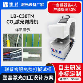 CO2激光剥线机切割线材自动同轴激光剥线机芯线剥离全自动剥线机