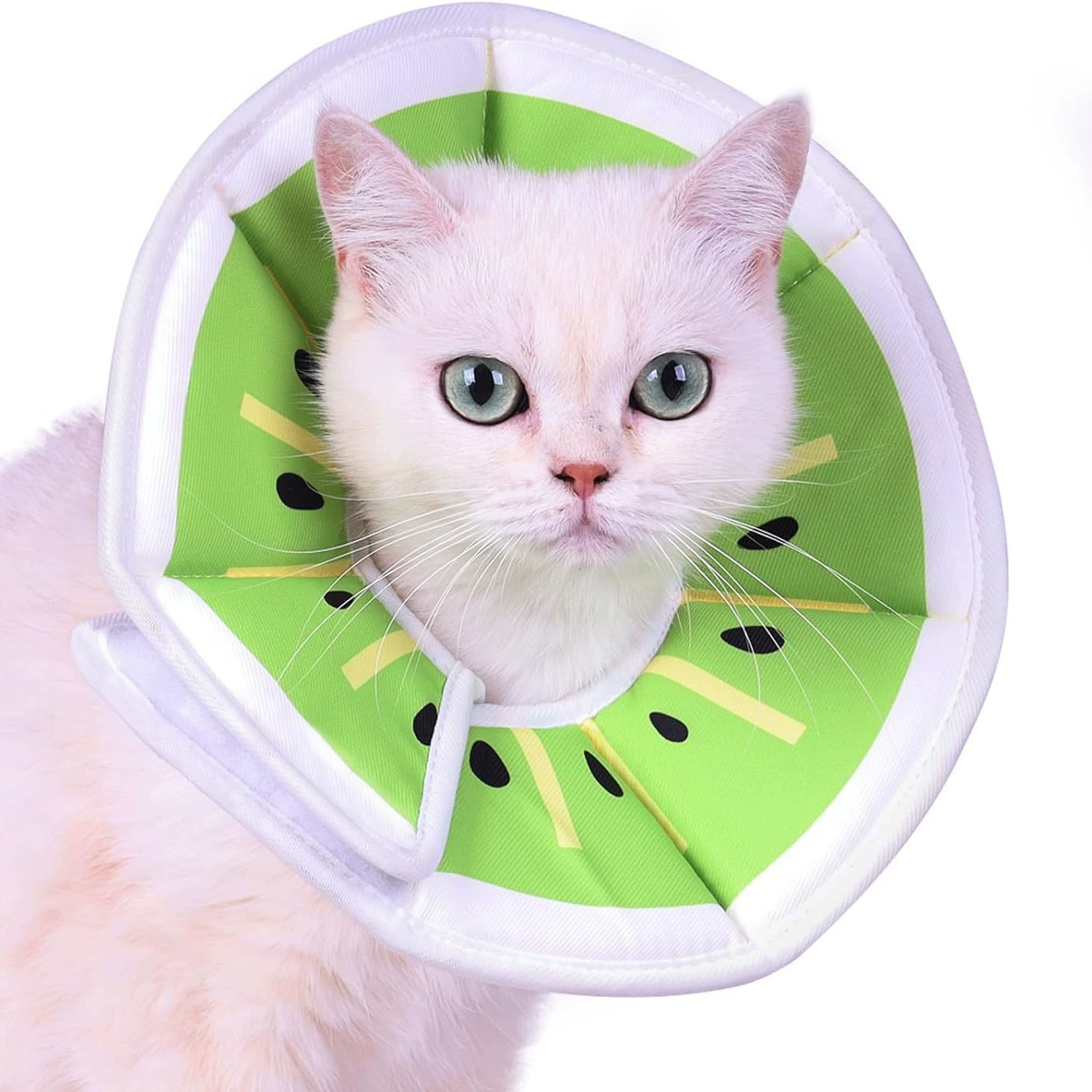 Трансграничные товары для домашних животных Конический ошейник Мягкий против лизания Удобный Элизабет ошейник для маленьких, средних и больших кошек