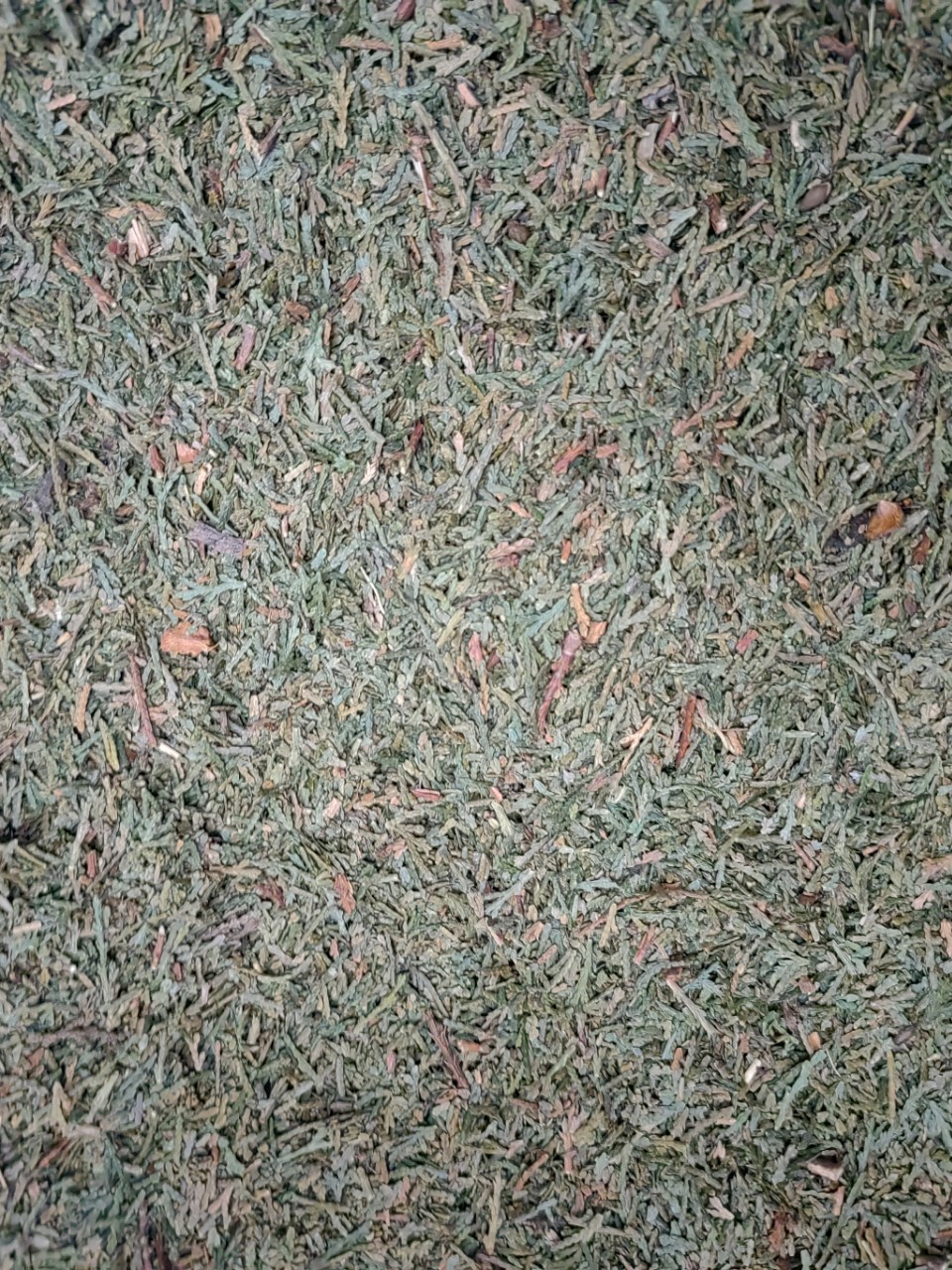 Ce Bai Ye Powder (Platycladus orientalis) — Dried Arborvitae Leaf Herb, 500g key features