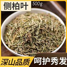 侧柏叶中药材新货精选柏树叶扁柏叶柏子树叶侧柏叶粉