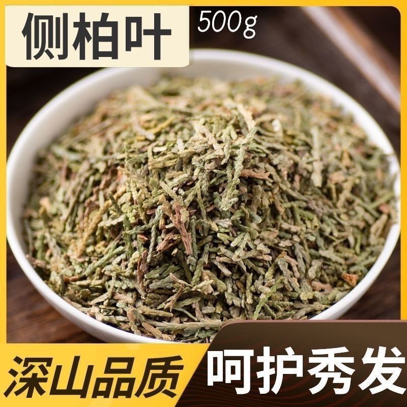 侧柏叶中药材新货精选柏树叶扁柏叶柏子树叶侧柏叶粉