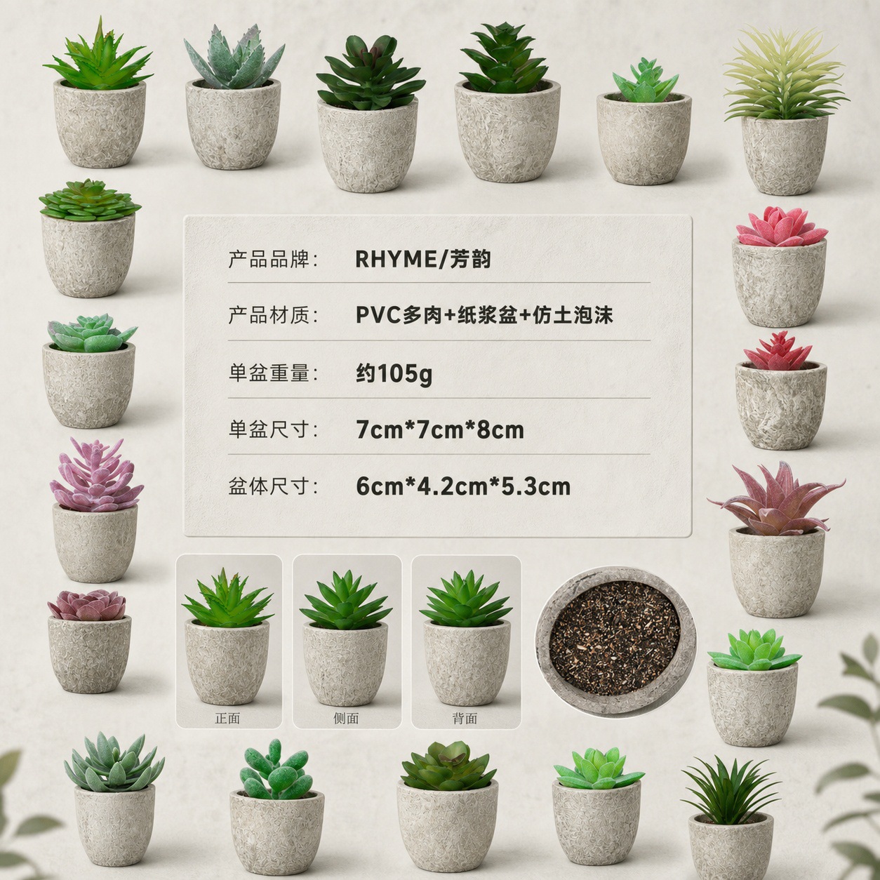 1302多肉详情页 (9).jpg