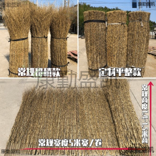 ���֦����b����Խz����h�ʇ����r������ͥԺ�ř���֦�l����