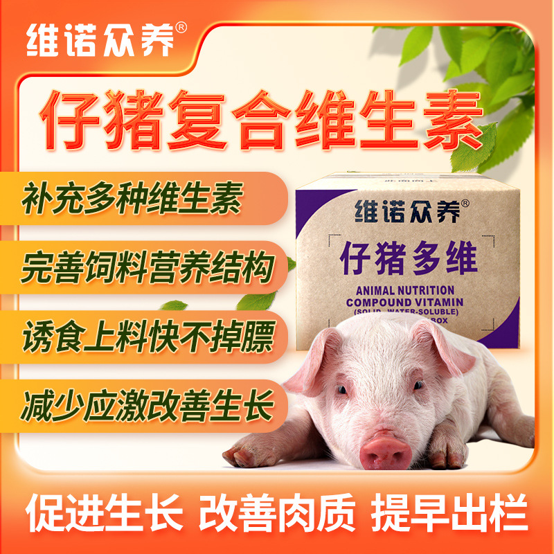 维诺仔猪多维小猪开口料维生素预混料助力生长减少应激饲料添加剂