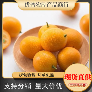 �V����Ƥ��� ���l1/5�����r������ˮ��С�۽������̼���С���