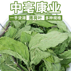 卸売り安徽太和ミント葉茶新鮮食用乾燥ミント葉ばら積ミント顆粒茶ミント葉花茶