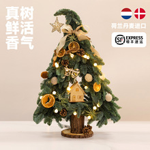 ���m�M�����r�Zؐ���}�Q����������̈�����[���}�Q���b�Ʒ�Y��