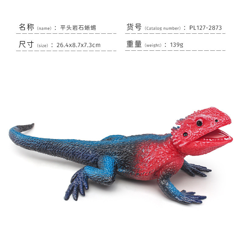 PL127-2873 Lagarto de roca de cabeza plana 139g