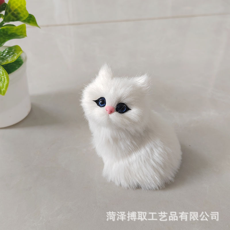 순수한 흰 고양이를 부를 것입니다