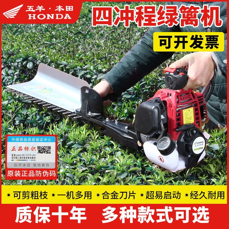 五羊本田进口四冲程汽油绿篱机茶树修剪机重修王粗枝剪绿篱修枝机