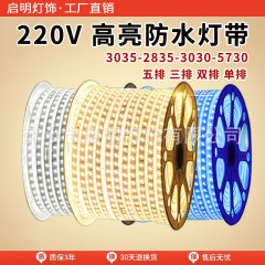 LED ライトストリップ 2835 ソフトライトストリップ 5730 ライトストリップ 220v 高電圧超高輝度屋外防水卸売エンジニアリング照明