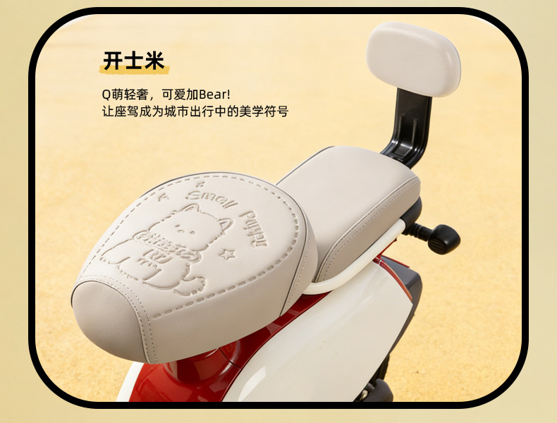 Simple Style Electric Vehicle Seat Cover, Waterproof and Sun-Proof, Suitable for Small Electric Bikes, Compatible with Yadea, Tailg, and Aima