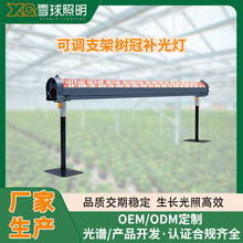 ����ֲ���a����t��660nm���aֲ���������gֲ�����L��led��ˮ��