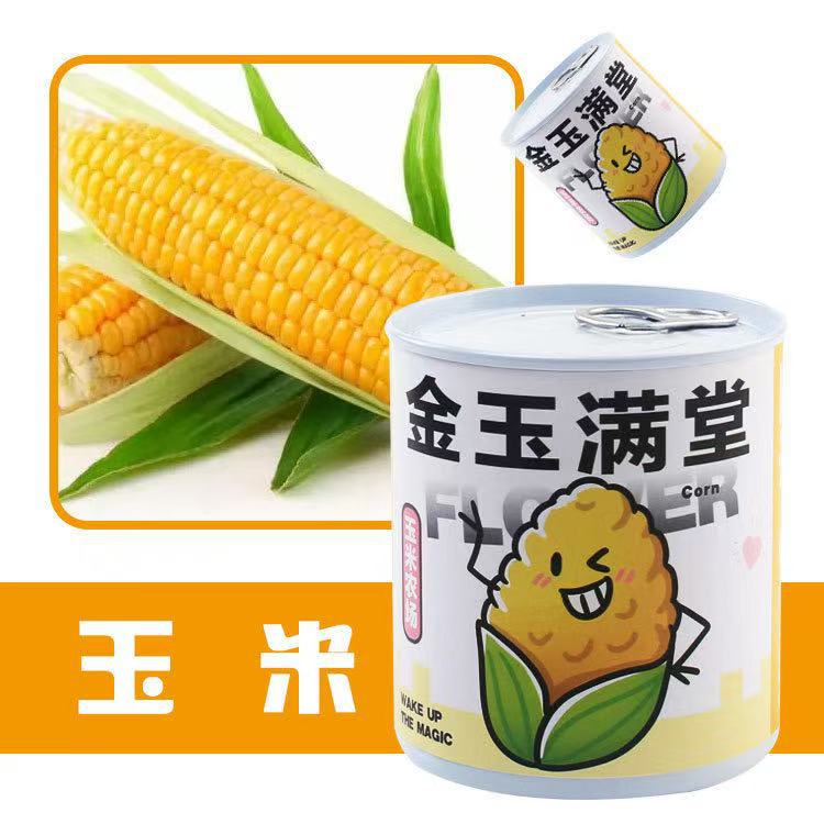 ใหม่กระถางกระป๋องฝาอลูมิเนียม-【ข้าวโพด】