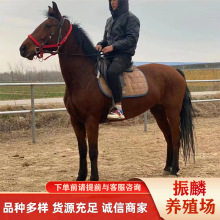 �����T���R �RƥƷ�Nȫ ��Ѫ�R �ɹ��R �������R �R�x�Bֳ��