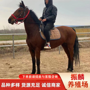 �����T���R �RƥƷ�Nȫ ��Ѫ�R �ɹ��R �������R �R�x�Bֳ��