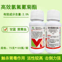 ���r˼�_2.5%��Ч�ȷ���������{�����x�rș���x��