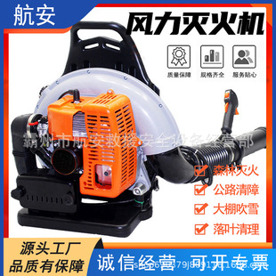 Garden Leaf Sweeper, Greenhouse Snow Blower, Fallen Leaf Blower, Backpack High-Power Wind Fire Extinguisher