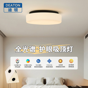 Full Spectrum Japanese Style Aisle Ceiling Lamp Creative Corridor Balcony Ceiling Lamp Geometric Atmospheric Eye Protection Lamp