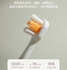 Vidi Bear Children's Waterproof Toothbrush Baby Ultra Soft Bristles 10,000 Soft Bristles Cute and Adorable Infants' Soft Toothbrush