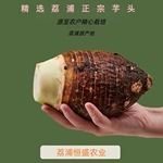 正宗广西荔浦芋头原产地精选农家种植现挖新鲜包邮直发头茬香芋