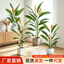 仿真绿植天堂鸟旅人蕉带花鹤望兰室内客厅大型植物落地装饰摆件