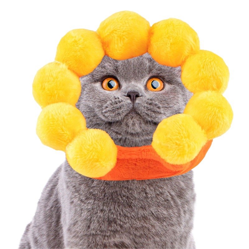 Nuevo gorro de otoño e invierno para perros y gatos con diseño de girasol, ajustable, accesorios para gatos y ropa para perros.