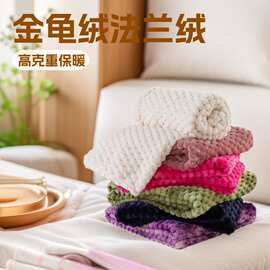 跨境新款金龟绒法兰绒高克重毛毯夏季空调毯午睡毯提花龟绒小毯子