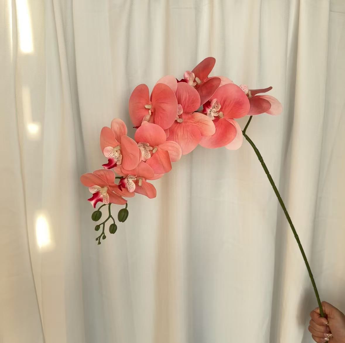 9-cabeza película Phalaenopsis flor artificial salón comedor Mesa alta rama piso decoración flor falsa Boda boda arreglo de flores