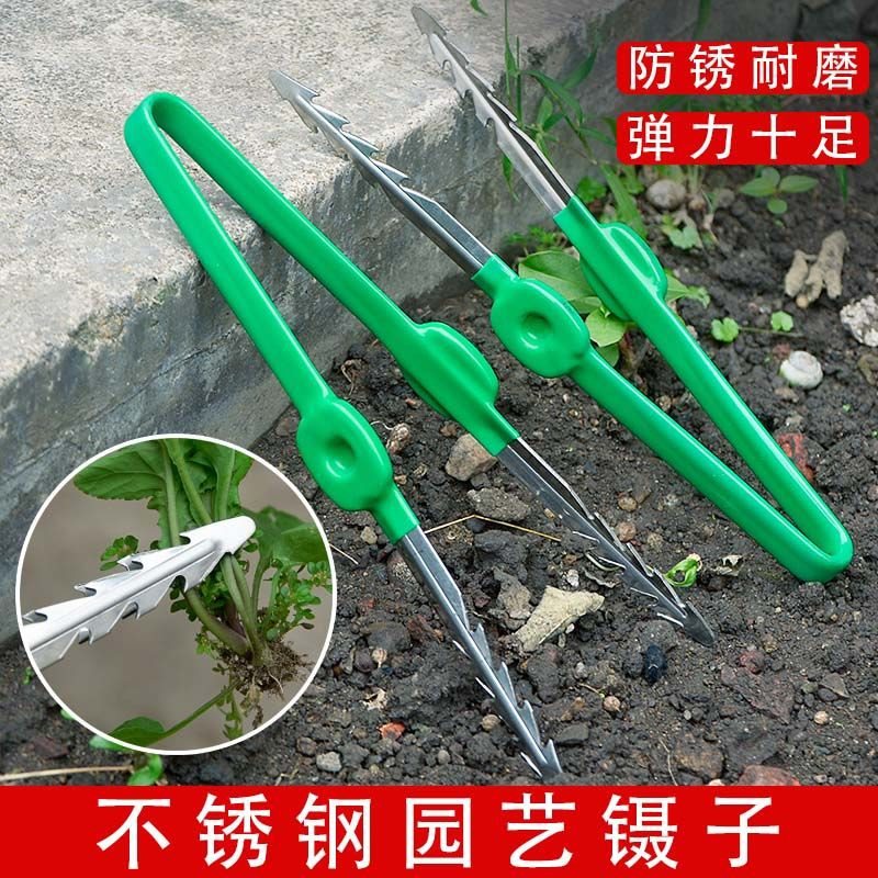 园艺工具镊子取物夹子拾物拔草拔苗种花家用夹种子不锈钢移植工具