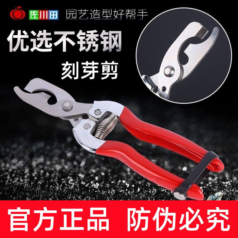 佐川田葡萄果树树枝刻芽引芽环割剪刀园艺促芽苹果柑橘树刻芽工具