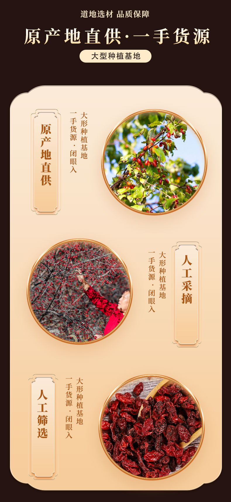 Dried Cornus Fruit Shan Zhu Yu 250g Pitted Asiatic Dogwood for TCM Herbal Decoctions and Medicated Cooking key features