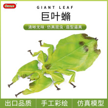�羳�����~���x��ߌ������xģ�;��~?�M�B���~��ͯ�J֪�ƽ̔[��