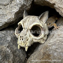 鱼缸装饰摆件仿真狐狸头骨爬虫爬宠饲养箱造景宠物蜥蜴蛇躲避屋