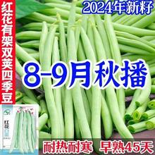 ļNӸ߮atܿNӴܶN߲˷N