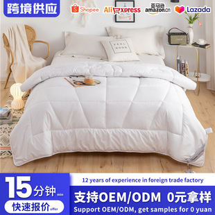 Factory light luxury warm velvet wool quilt feather-proof warm quilt core single double Four Seasons group purchase will sell gift quilt wholesale