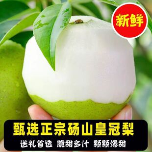 �����ؼ�ֱ�lţ�̴���G��ʯ�ʹ�����Ƥ������ˮ���������l��Ƥ