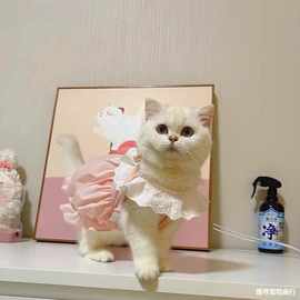 猫咪衣服裙子春夏季可爱马卡龙猫猫幼小猫衣服防掉毛泰迪比熊薄款