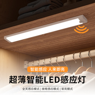 Ultra-Thin Led Sensor Lamp Long Strip Cabinet Wardrobe Human Body Sensor Lamp