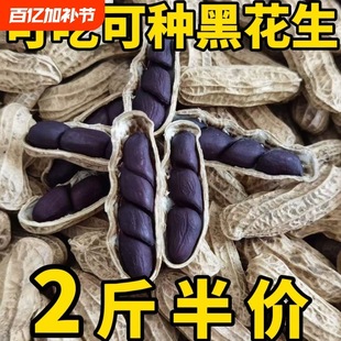 �؃r�������ڻ�����Ʒ��Ϻڻ��������ɷN���»��������Bθ������