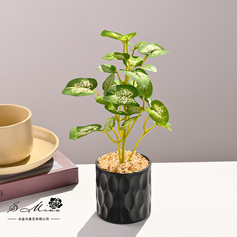 Simulación de plantas verdes, pequeñas plantas en macetas, flores artificiales, flores creativas, decoración de estudio fotográfico para el hogar, plantas verdes artificiales, bonsai de simulación image 3