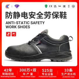防砸防刺穿鞋;防静电鞋;绝缘鞋