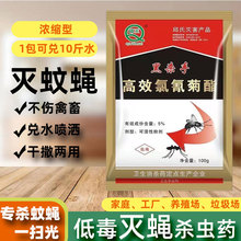 ��ωș�Bֳ�������ωș��ͥ�������nωș�LЧ���ÏS�����l����ș