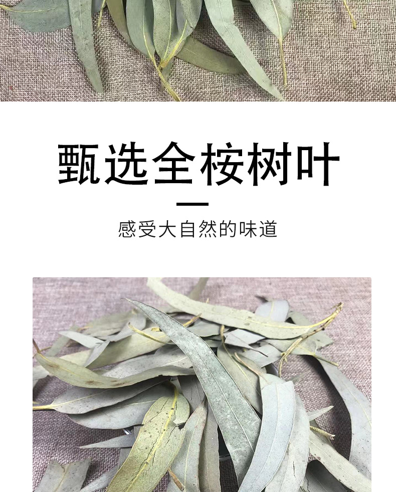 Dried Eucalyptus Leaf Granules An Ye 500g Bulk Herbal Tea Ingredient overview