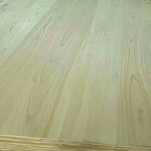 廠家供應 FSC白椿木實木板 直拼指接均有生產 家具裝修材料價格優