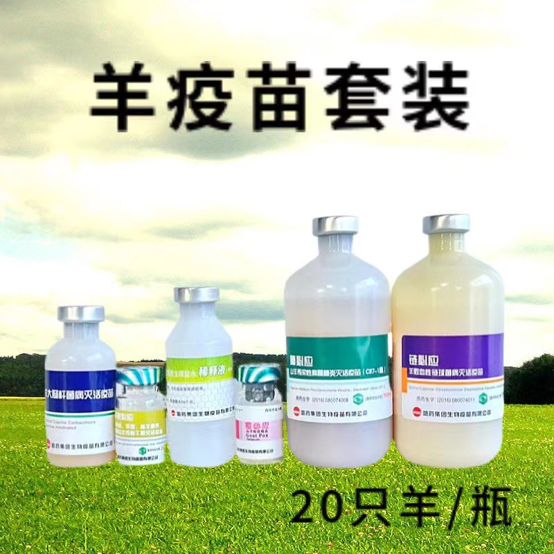 羊用疫苗全套羊三联四防多联应羊痘传胸链球菌羊大肠杆菌羊疫苗-阿里巴巴