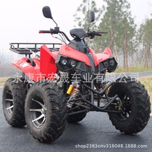 ATVɳ��ԽҰ܇ȫ����܇250cc�Ԅәn��݆Ħ��܇ɽ��ɳ��Ħ��܇�羳