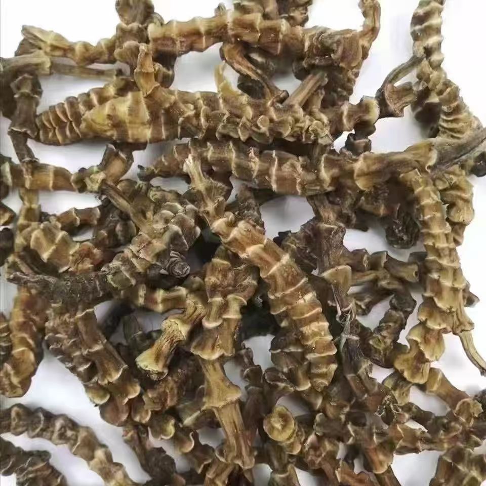 微信图片_20240807000413